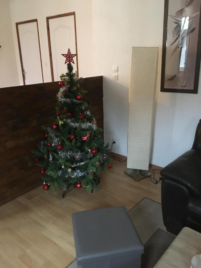 Apartment Le 1 - Le Chateau Du Fleckenstein